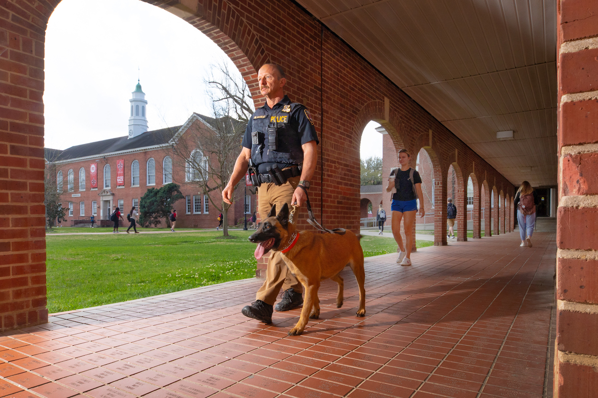 Bella Nose A K9's best friends? Pawson training — and her snoot University of Louisiana at